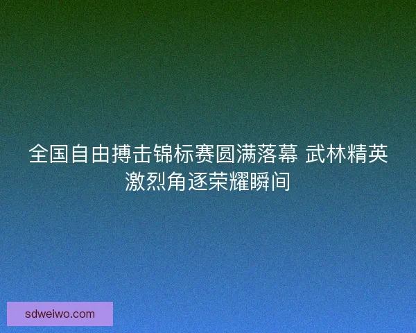 全国自由搏击锦标赛圆满落幕 武林精英激烈角逐荣耀瞬间